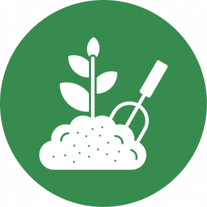G.I EXPERT GARDENING AND MORE SERVICES Ltd logo