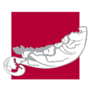T.I FOODTEC CONSULTANCY LTD logo